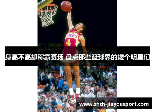 身高不高却称霸赛场 盘点那些篮球界的矮个明星们