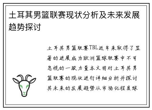 土耳其男篮联赛现状分析及未来发展趋势探讨