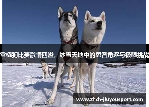 雪橇狗比赛激情四溢，冰雪天地中的勇者角逐与极限挑战